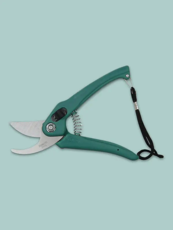 Garden Scissor